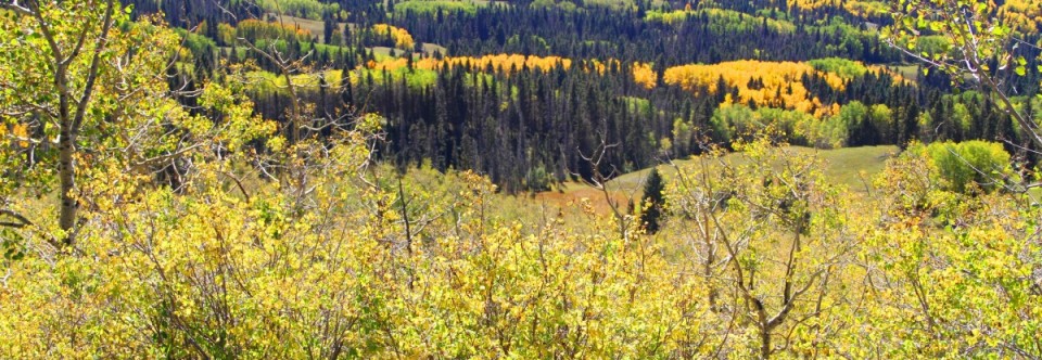 WHAT IS CLIMATE AND WHAT IS HAPPENING TO OURS?