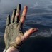Pity the Planet: Environmental Agencies Are Failing Us