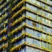 The World’s Tallest Vertical Garden Lives and Breathes in Sydney