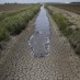 California’s Drought Could Upend America’s Entire Food System