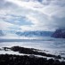 Scientists Weigh New Evidence on Antarctic Ice Melt