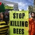 The Latest Threat to Bees? Flupy