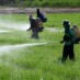 EU Dropped Pesticide Laws Due to U.S. Pressure over TTIP, Documents Reveal