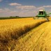 How Monsanto Could Get Even Bigger and More Powerful
