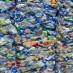 This Newly Discovered Fungus Could Eat the Plastic Out of Landfills