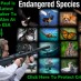 ENDANGERED SPECIES ACT AT RISK