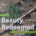 BEAUTY REDEEMED – DESIGN THINKING FOR A POST-INDUSTRIAL CENTURY