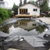 Frogs Kept Jumping Into Her Backyard Pool, So She Turned It Into A Habitat