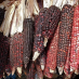 Four Ways Mexico’s Indigenous Farmers Are Practicing the Agriculture of the Future