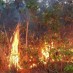 Scientists Have Found a Link Between Amazon Wildfires and North Atlantic Hurricanes
