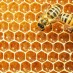 HONEY BEES ARE FACING A GLOBAL THREAT, AND IF THEY GO, SO DO WE