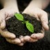 Dozens of Nations Back Regenerative Farming Initiative That Can Help Solve Global Warming