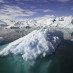 HOW MELTING GIANT ICEBERGS MAY HELP SLOW CLIMATE CHANGE (JUST A LITTLE)  WHO KNEW?