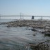 Supreme Court Refuses To Take Up Case Challenging The Cleanup Of The Chesapeake Bay