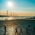SURGING RENEWABLES KEEP GLOBAL CO2  FLAT AS ECONOMY GROWS