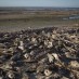 INSIDE THE LOOMING DISASTER OF THE SALTON SEA