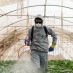 The Developing World is Awash in Pesticides. Does It Have to Be?