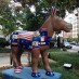 The influence diaries: Dispatches from the Democratic National Convention