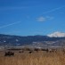 TWO TOWNS BATTLE COLORADO FOR FREEDOM TO BAN FRACKING
