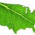 5 Inspiring Signs That Sustainability Is Gaining Traction in the U.S.