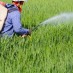 Prenatal Pesticide Exposure Linked to Lower IQs in New Study