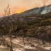 THE WESTERN UNITED STATES FACES AN EXPLOSION OF WILDFIRES