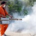 Did the EPA and CDC Mislead Local and State Officials and the Public on Safety of Mosquito Pesticides Used to Fight Zika Virus?