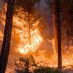 TENNESSEE WILDFIRE IS ‘UNLIKE ANYTHING WE’VE EVER SEEN’ (VIDEO)