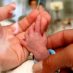 U.S. HAS HIGHEST FIRST-DAY INFANT MORTALITY OUT OF INDUSTRIALIZED WORLD, GROUP REPORTS