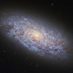 Where is everybody? The implications of cosmic silence