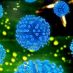 Retroviruses in Vaccines: Are We Altering the Genes of Future Generations in Unknown Ways?